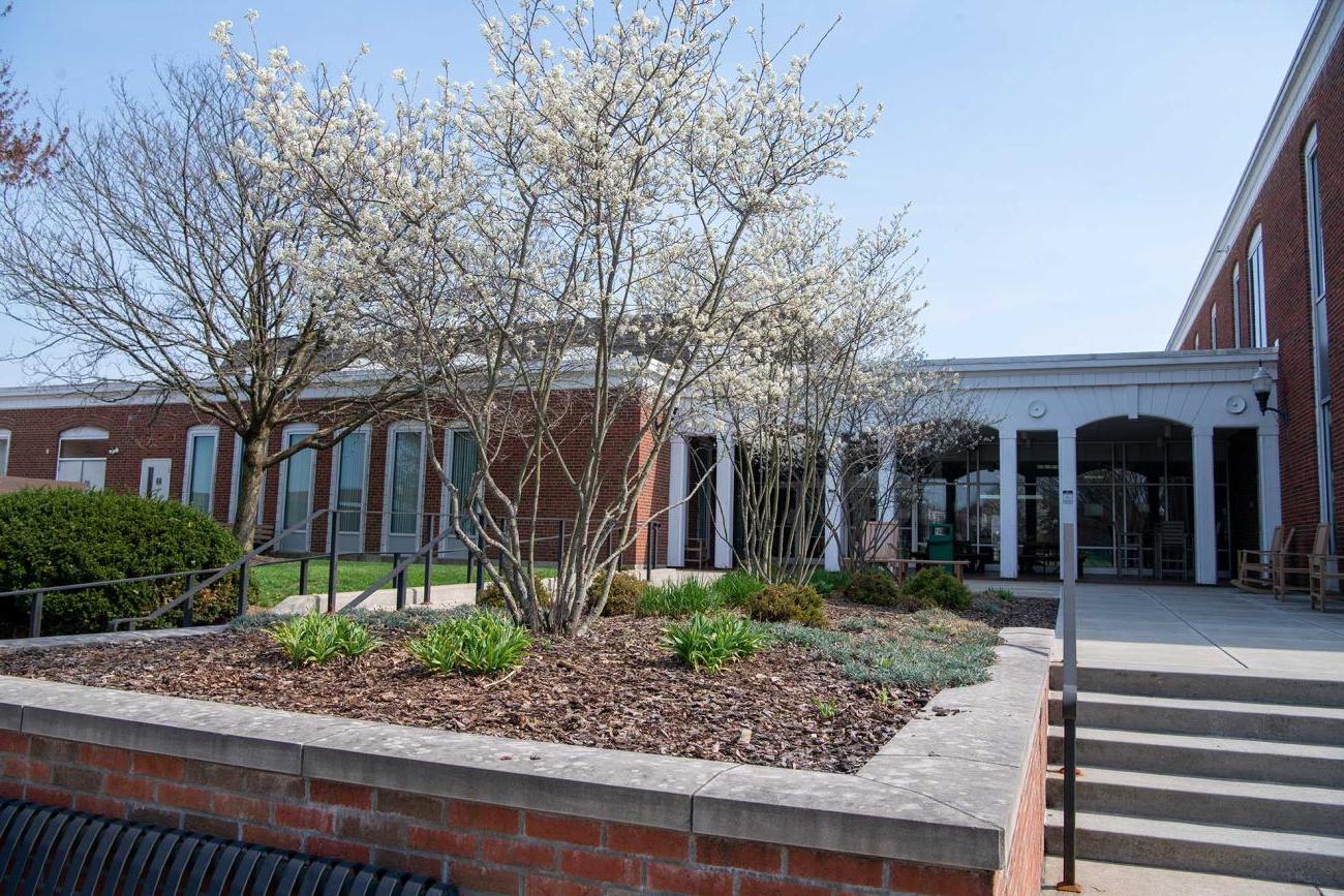 picture of the outside of a zanesville campus brick building with a flowering tree in front