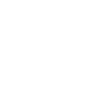 Logo for The Bobcat Store